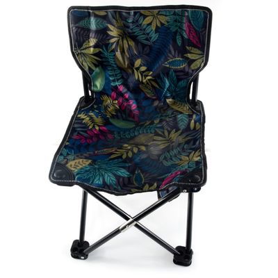Outdoor Camping Fishing Chairs Portable Lightweight Folding Chair with Armrest in Blue