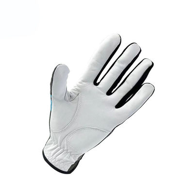 30-Day Return Guarantee Breathable Anti Slip Men's Cabretta Leather Golf Glove FER647